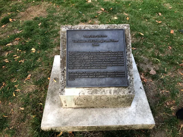 Tortoises With Triangle & Time