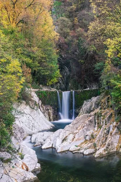 Saceba, Morbio Inferiore