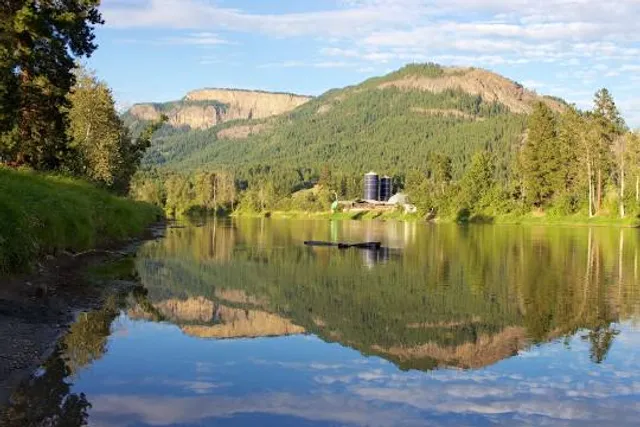 Area F (Grindrod/Ashton Creek/Mabel Lake)