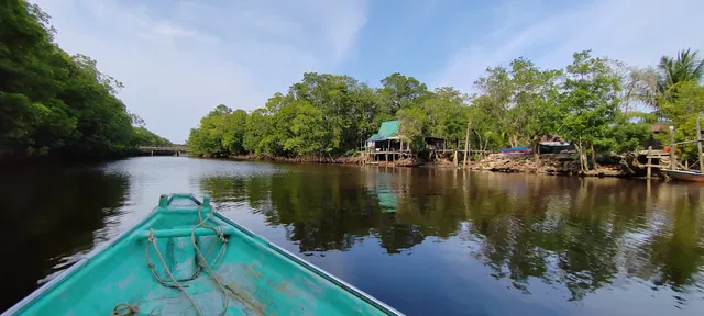 Fireflies Watching (Kelip-Kelip) Cherating Mangrove River