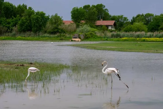 Riserva Naturale Regionale della Foce dell'Isonzo Isola della Cona