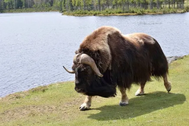 Tyhee Lake Provincial Park
