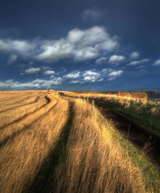 Haven Seton Sands Holiday Park