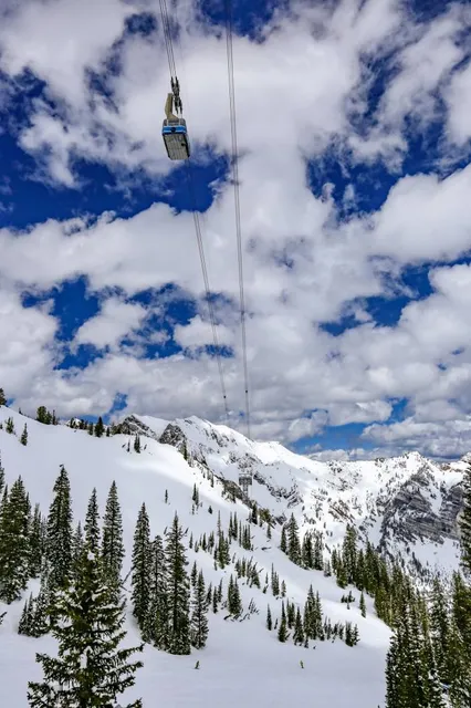 Snowbird Tram