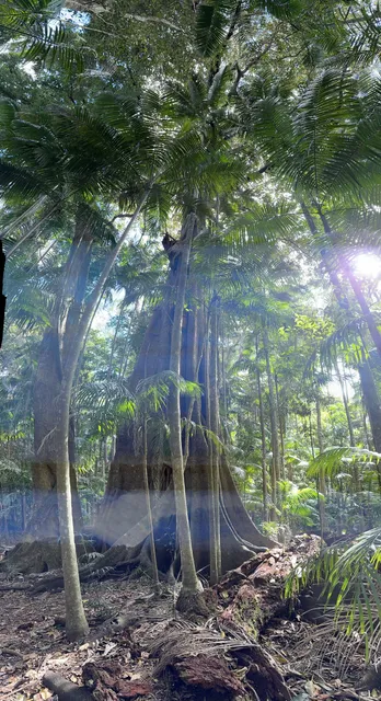 Witches Falls Section