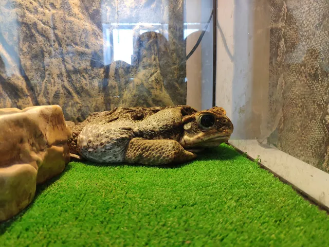 Ramenskii History and Art Museum