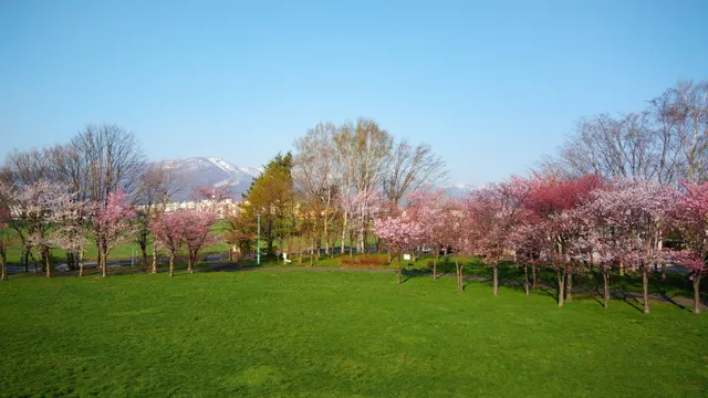 Shinkotoni Green Park