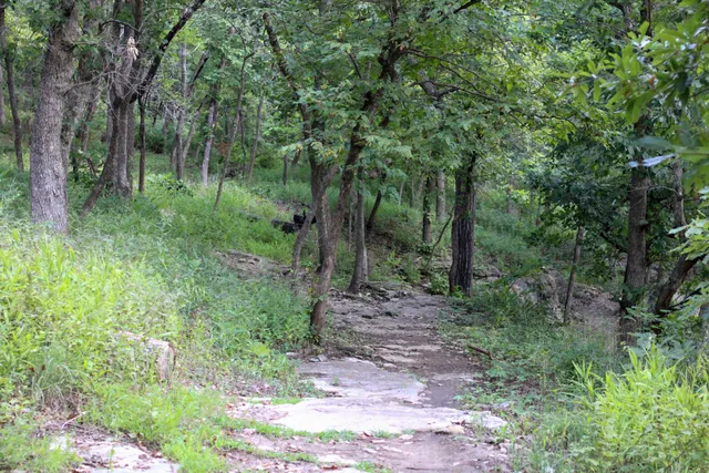 Swope Park Trails - Wudchuk Run Trail Head