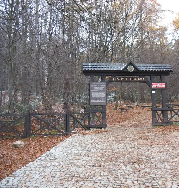 Puszcza Jodlowa