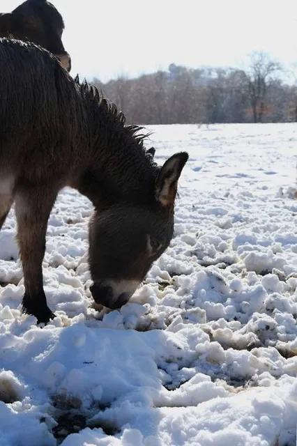 Buttonwood/Betty C. Black Recreation Area