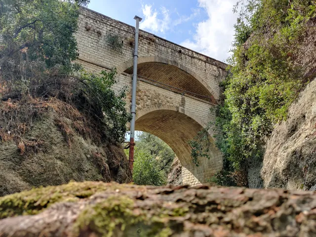 Trimiklini Double Bridge