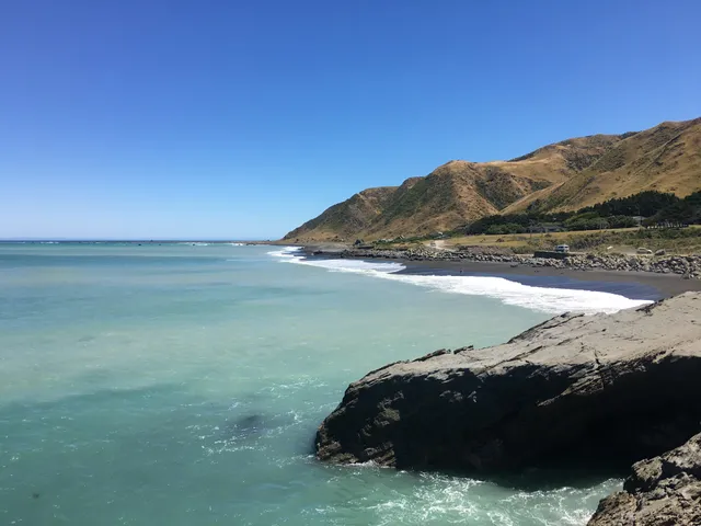 Matakitaki-a-Kupe Reserve