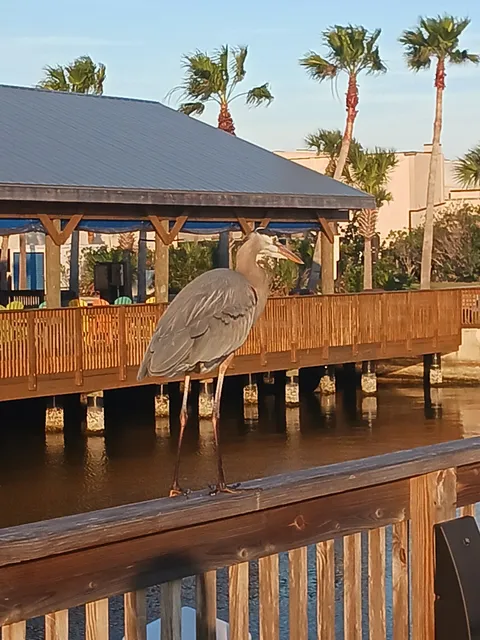 Patrick SFB Manatee Cove Campground