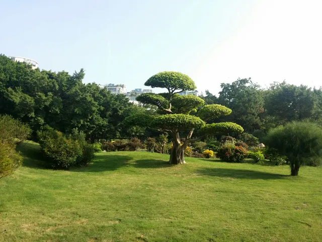 Luohu Culture Park （East Gate）