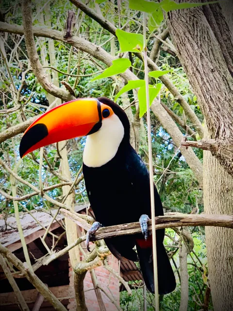 Refugio de Fauna Silvestre Jacha Inti