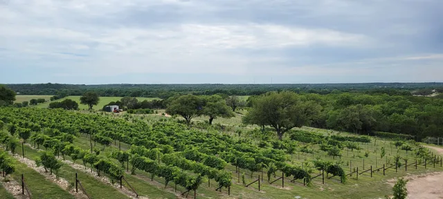 Valley Mills Vineyards