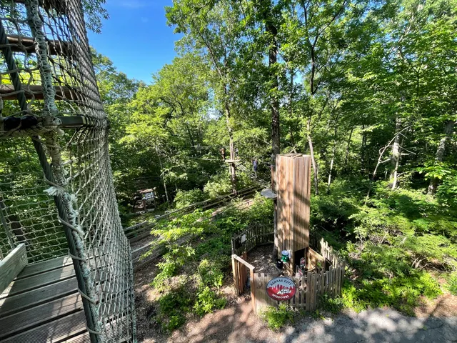 Go Ape Zipline and Adventure Park