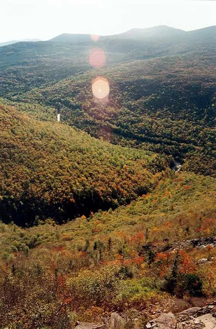 photo-2
