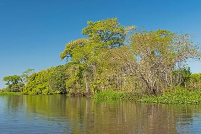 Pantanal Matogrossense National Park