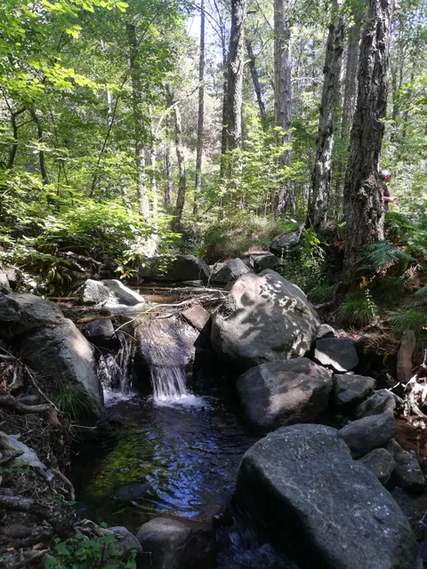 Kalidonia nature trail