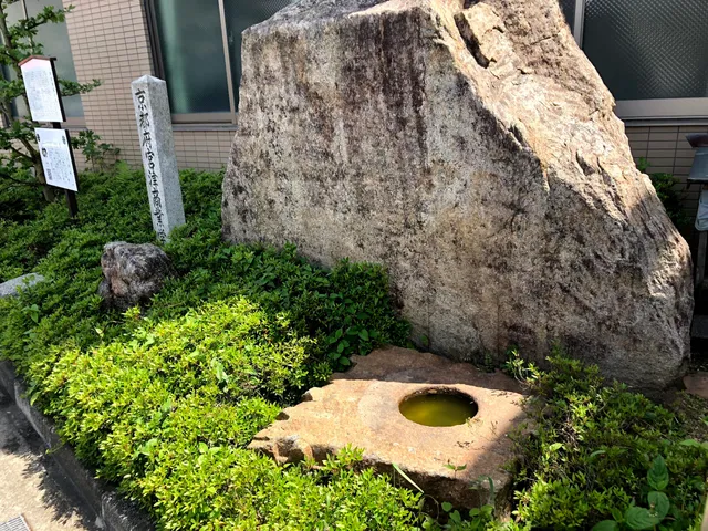 photo-1