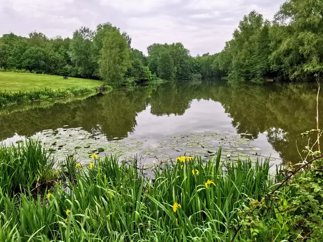Highwoods Country Park