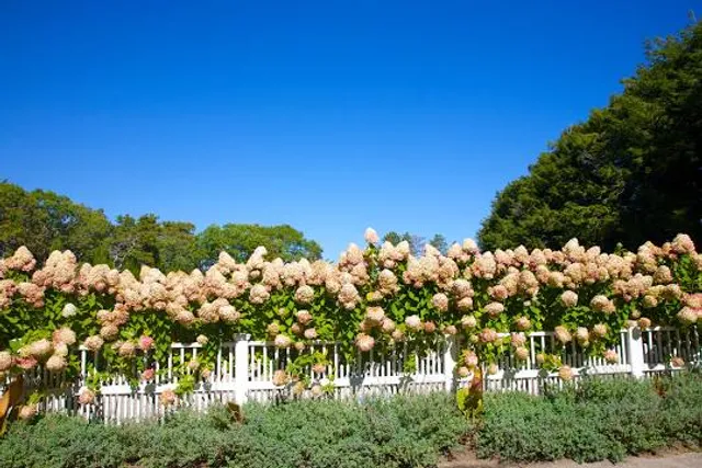 Heritage Museums & Gardens