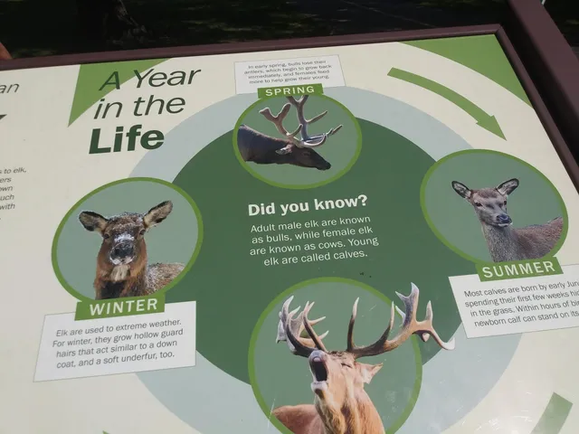 Busse Forest Elk Pasture
