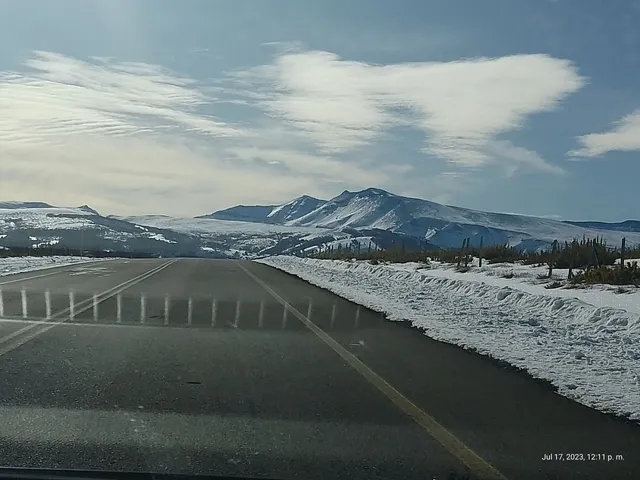 Reserva nacional Alto Biobío