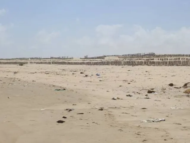 Tarfaya