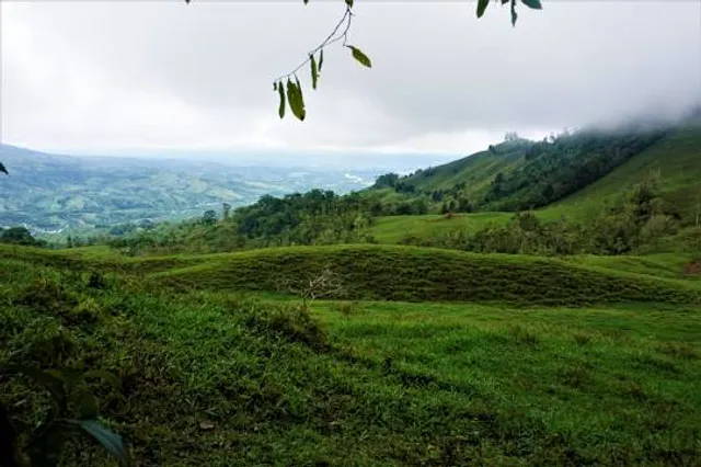 Quebradas Biological Center