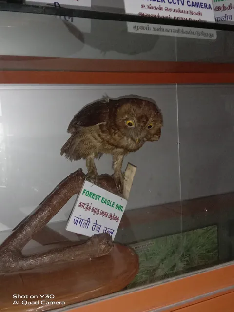 Natural History Museum