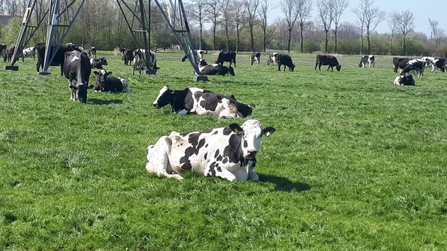 Tuinvereniging Het Noorden