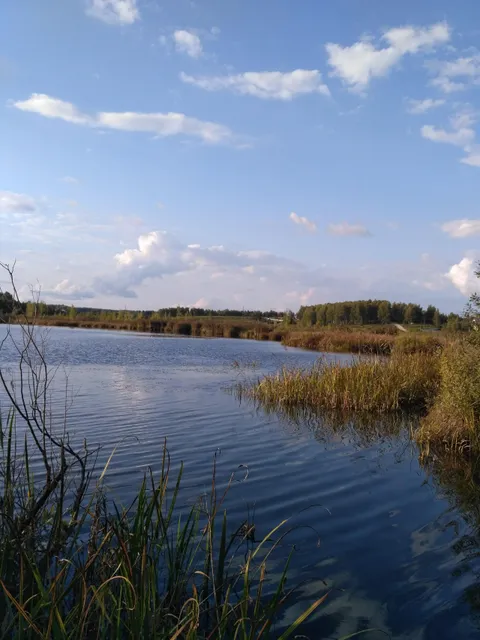 Dichkovskoye Ozero