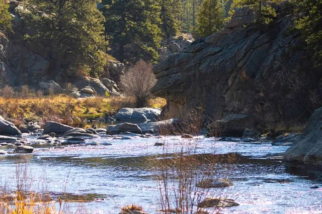 Eleven Mile Canyon Recreation Area