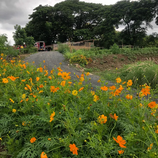 Chiang Mai Urban Farm