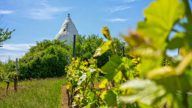 Antjes Ferienwohnung Flonheim
