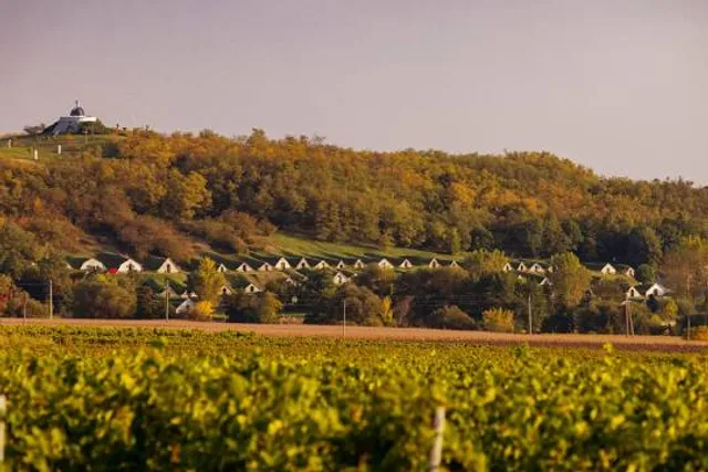 Götz Pincészet Gombos-hegyi Pincesor UNESCO