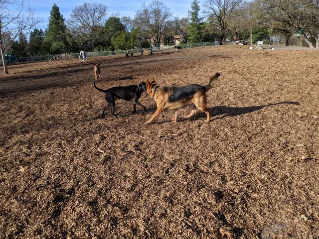 Heather Farm Dog Park