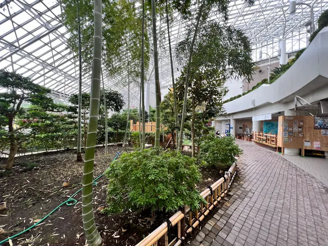 Tomakomaishi Sun Garden