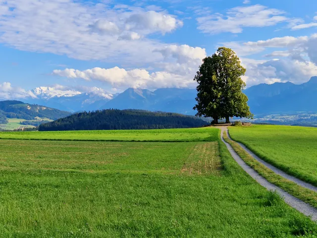 Aussichtspunkt Ballenbühl