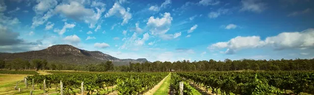 Hunter Valley Cheese Factory & Tasting Rooms Co PL