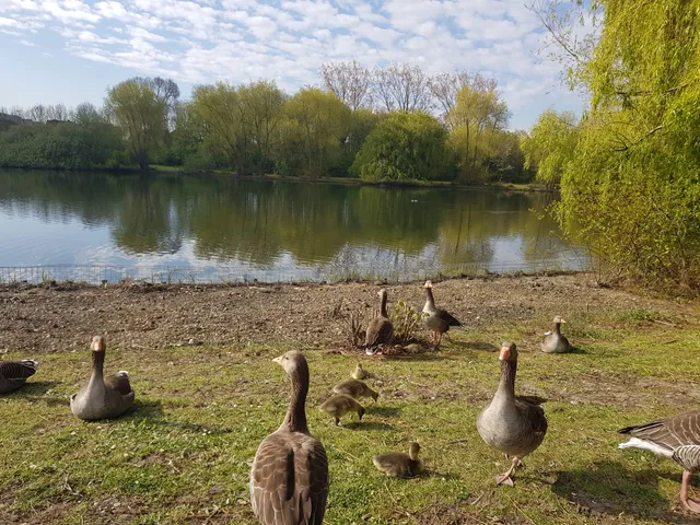 London Borough of Barking and Dagenham