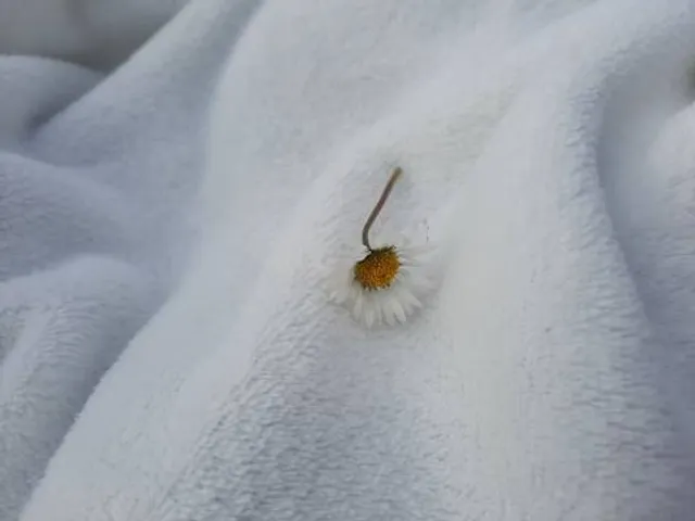 Lightwater Valley Family Adventure Park