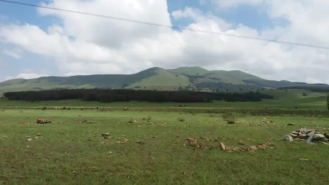 Hawane Nature Reserve