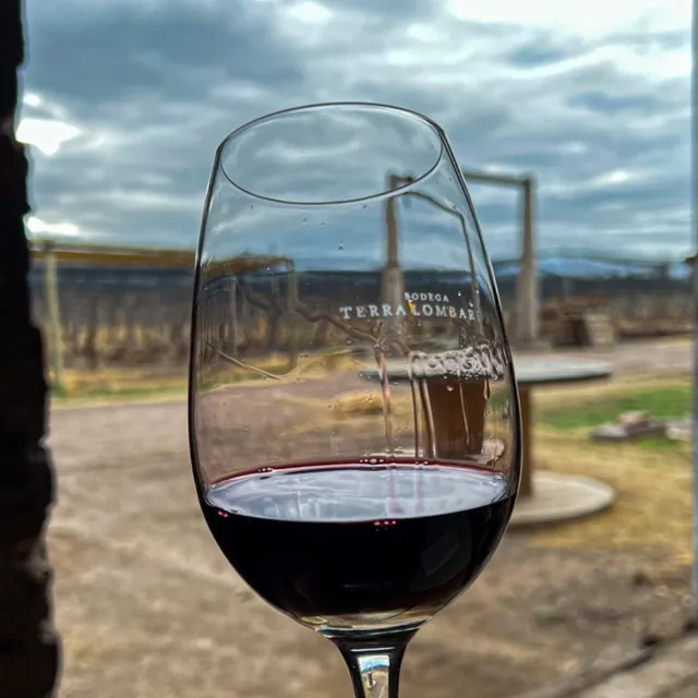 BODEGA TERRA LOMBARDA