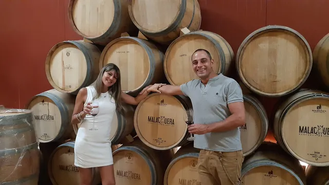 BODEGAS MALACUERA
