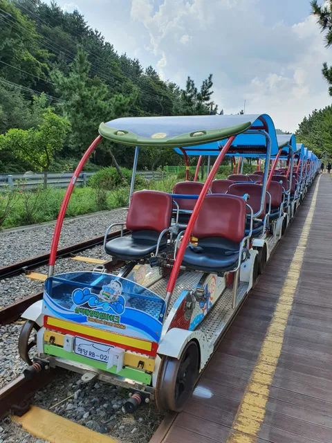 Samcheok Ocean Rail Bike