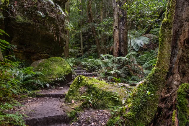 Grand Canyon Walking Track