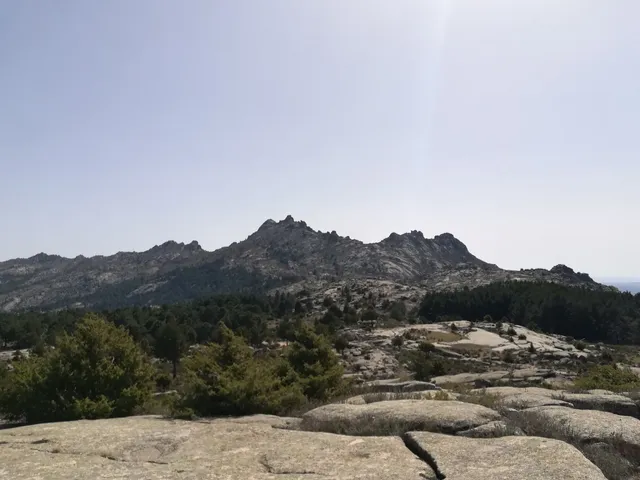 Puerto Del Medio Celemín